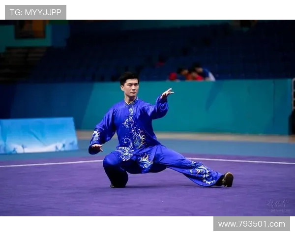 世界武术锦标赛展现中华武魂之美感